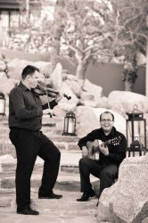 Francisco Alatorre - Violin
